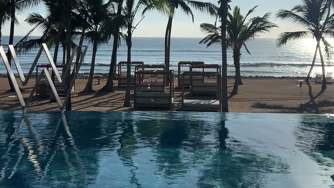 The pool and palm trees at the W Punta Cana