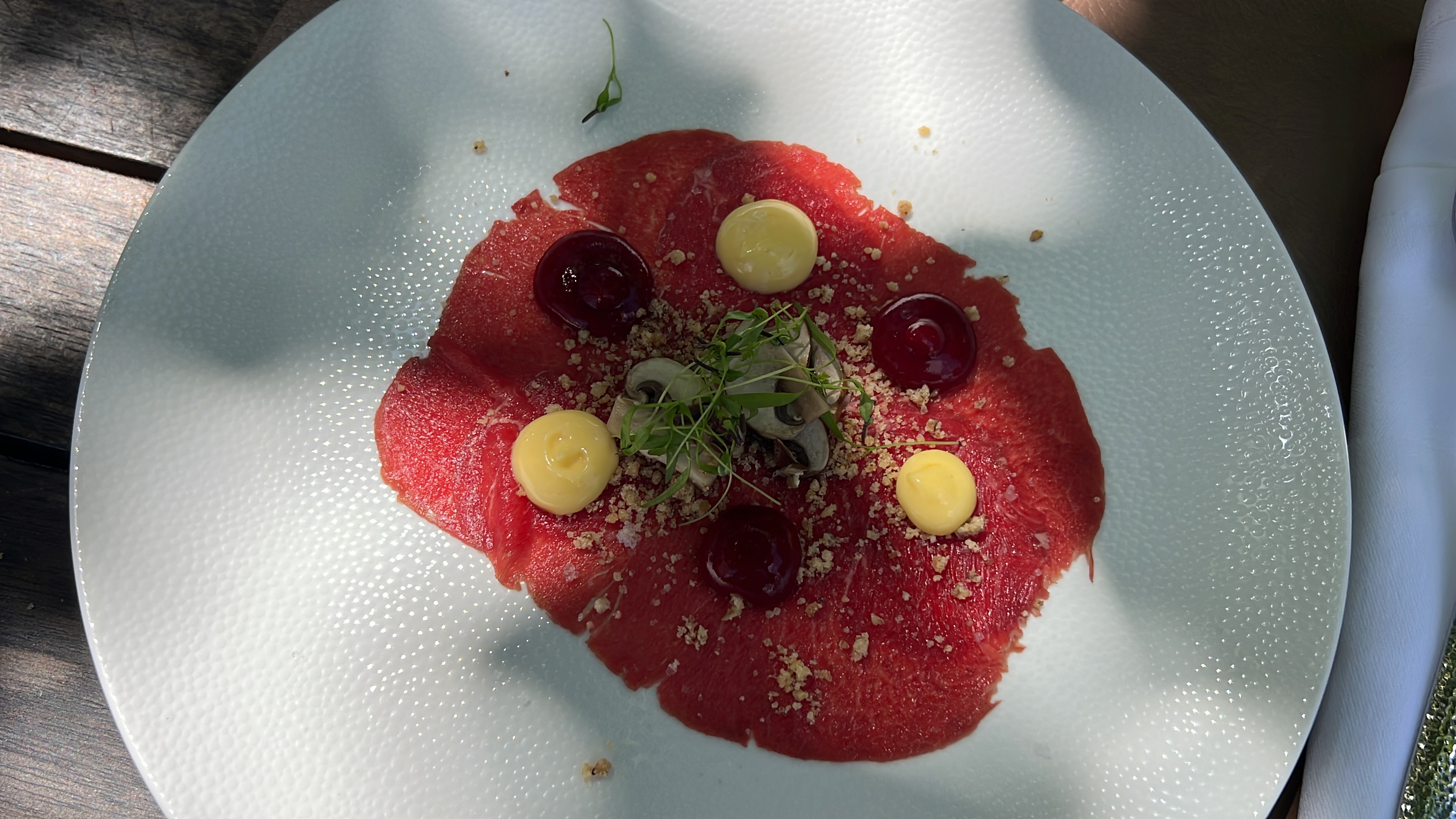 Lunch at Ljubljana Castle, Gostilna na gradu, above the city rooftops, on Iv&aacute;n Verzoub's Slovenia inspection