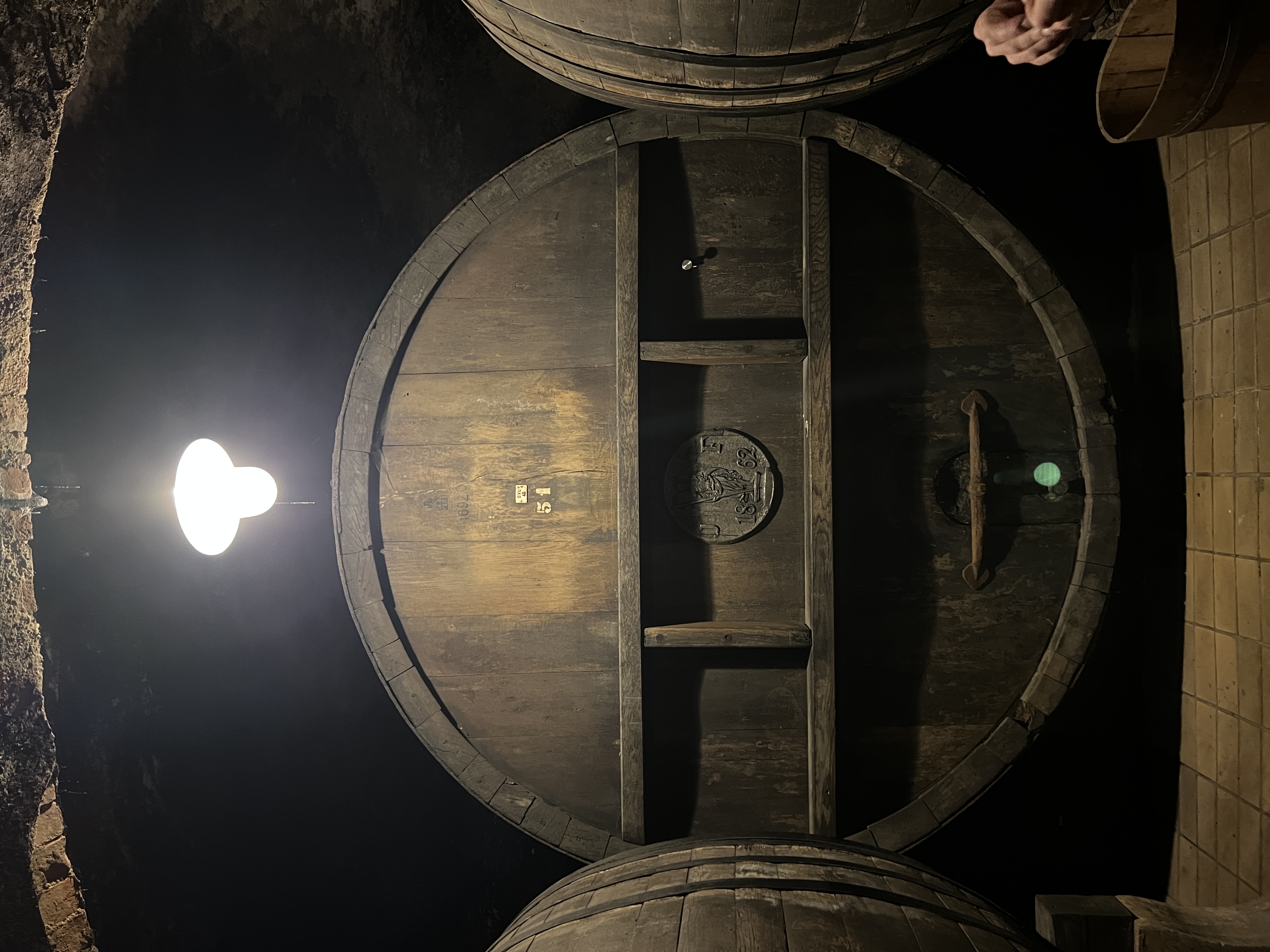 The historic underground wine cellars of Maribor lit for a tasting, on Iv&aacute;n Verzoub's Slovenia site inspection for corporate incentive groups